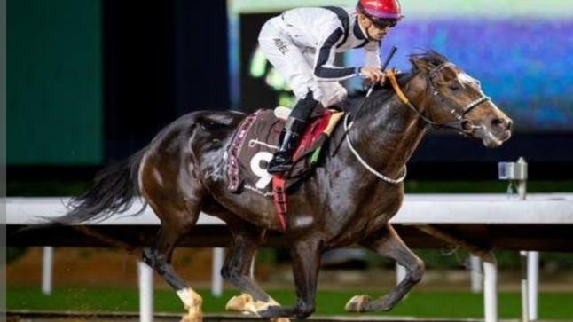 تعمل الفروسية بالمملكة العربية السعودية على تمكين المراة من المجال