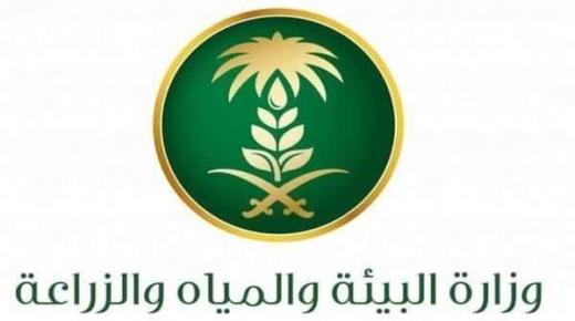 الحملات الرقابية المتنقلة لوزارة البيئة تكشف 633 مخالفة