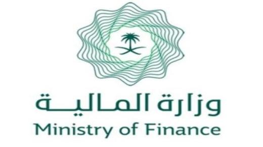قرارات وزارة المالية لمعالجة المشروعات والشركات المتعثرة